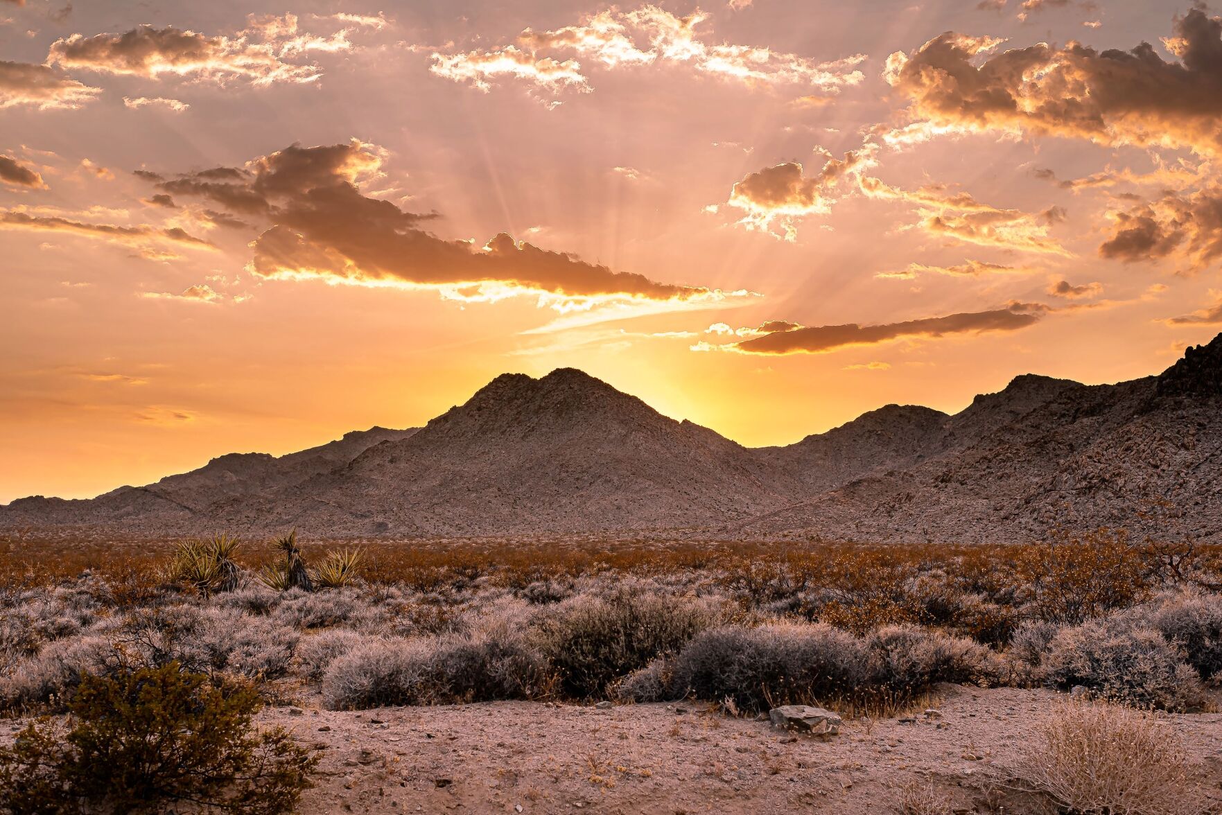 Mojave Sunset